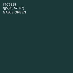 #1C3939 - Gable Green Color Image